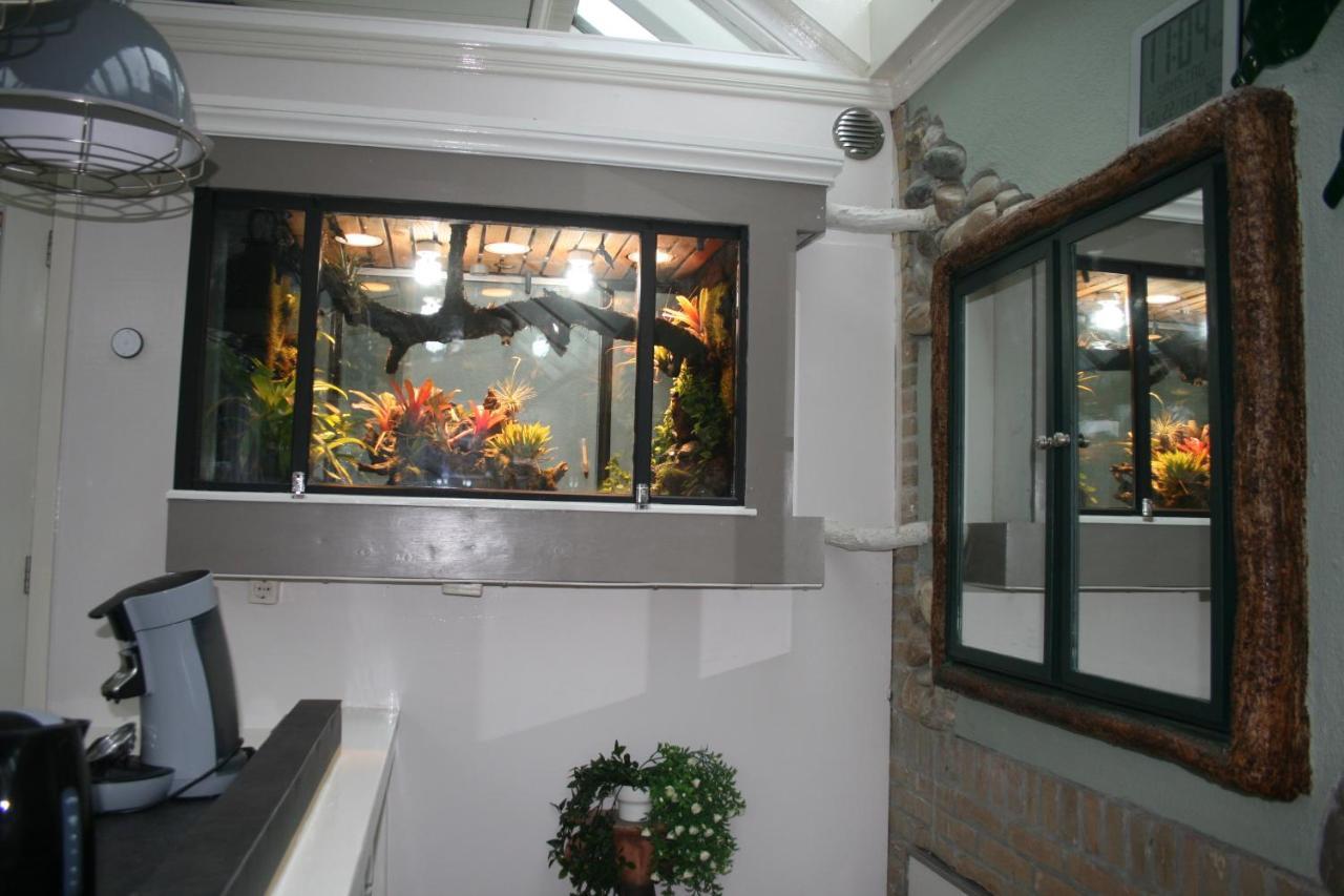 The Butterfly Luxe Appartement Met Private Parking Zandvoort Buitenkant foto